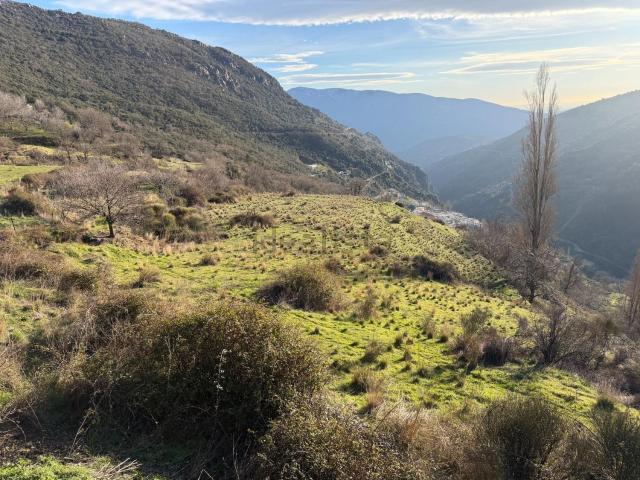 Terreno, Bubion