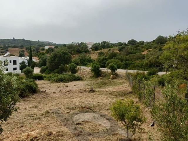 Terreno, Budens