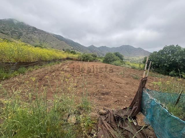 Terreno, Buenavista del norte