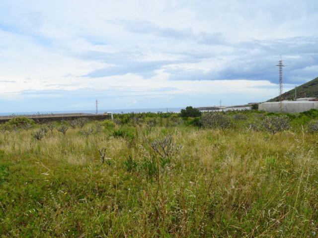 Terreno, Buenavista del norte