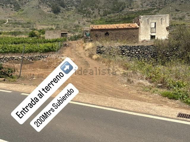 Terreno, Buenavista del norte