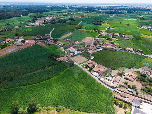 Terreno, Bunheiro