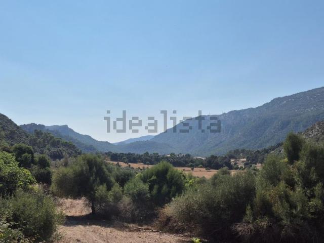 Terreno, Bunyola