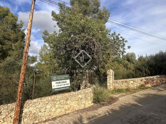 Terreno, Bunyola