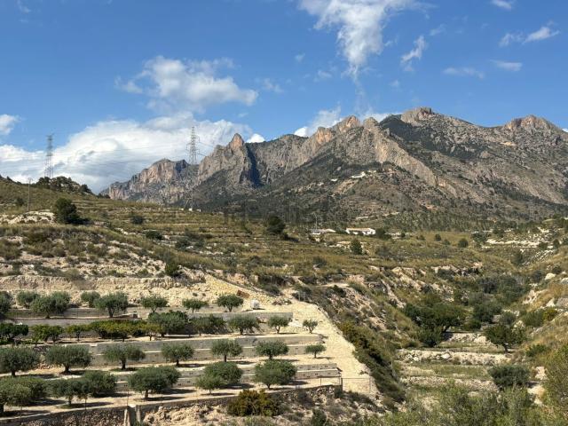 Terreno, Busot