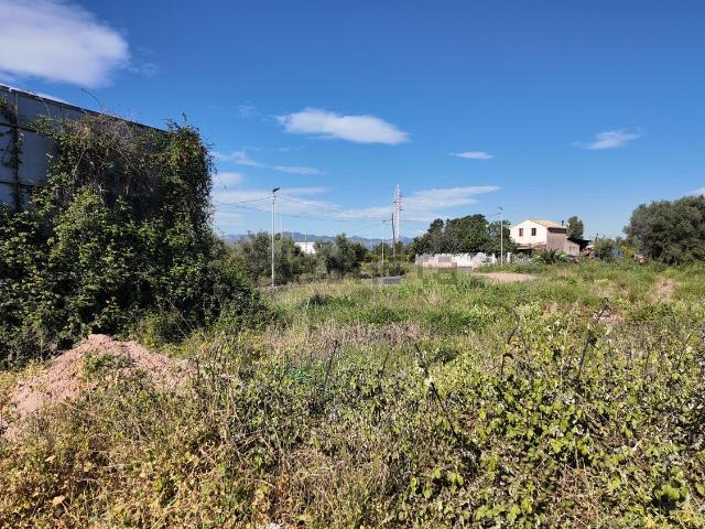 Terreno, Burriana