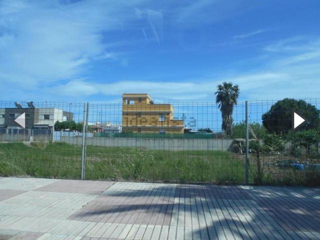 Terreno, Burriana
