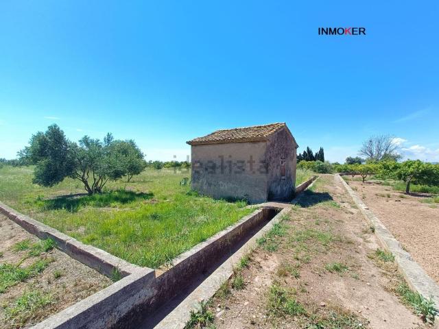 Terreno, Burriana