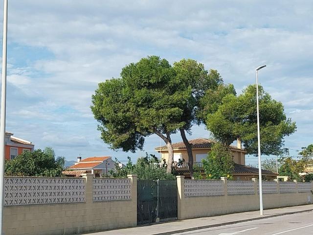 Terreno, Burriana