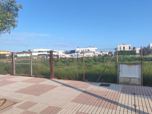 Terreno, Burriana