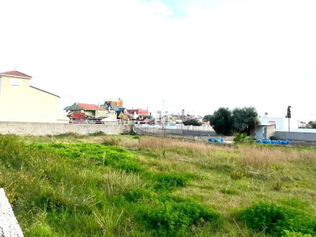Terreno, Burriana