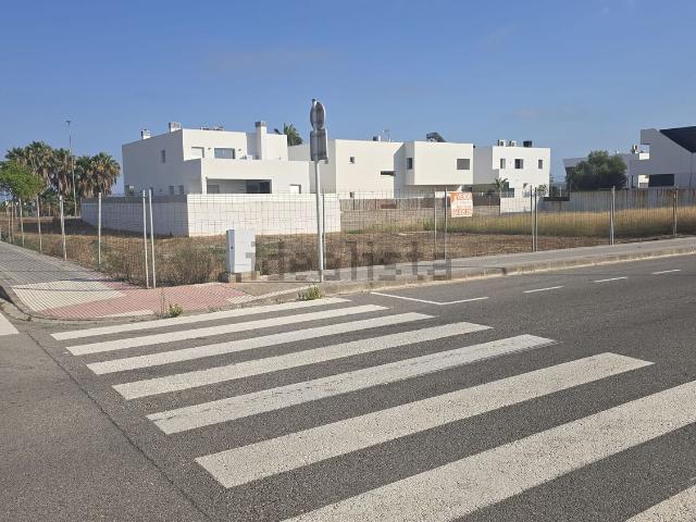 Terreno, Burriana