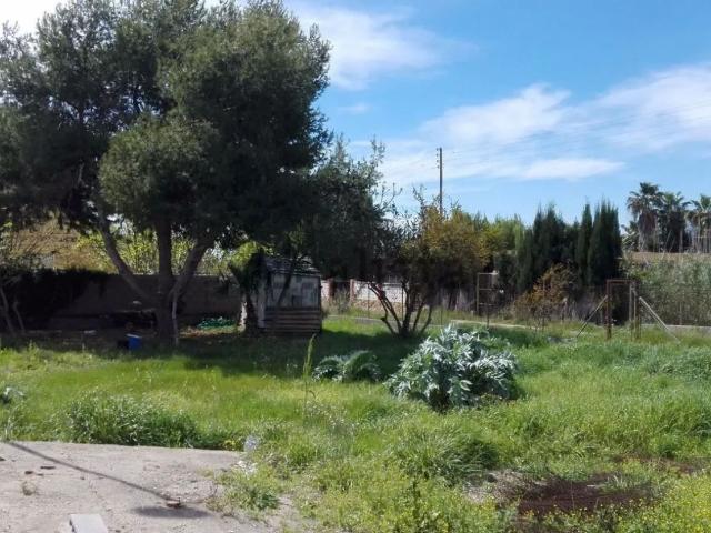 Terreno, Burriana