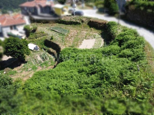 Terreno / Baião, Gove