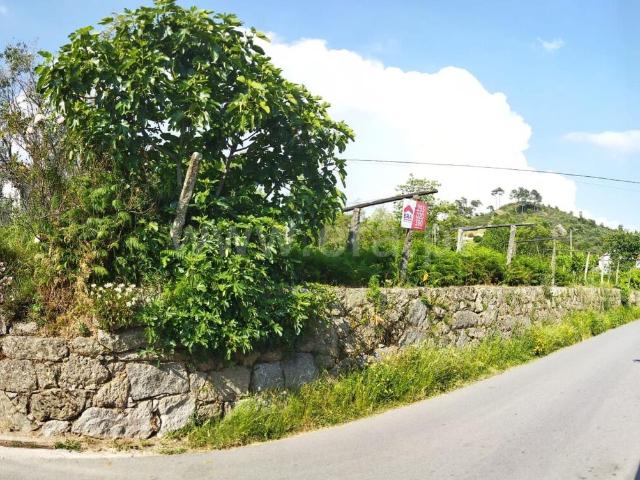 Terreno / Baião, Santa Marinha do Zêzere