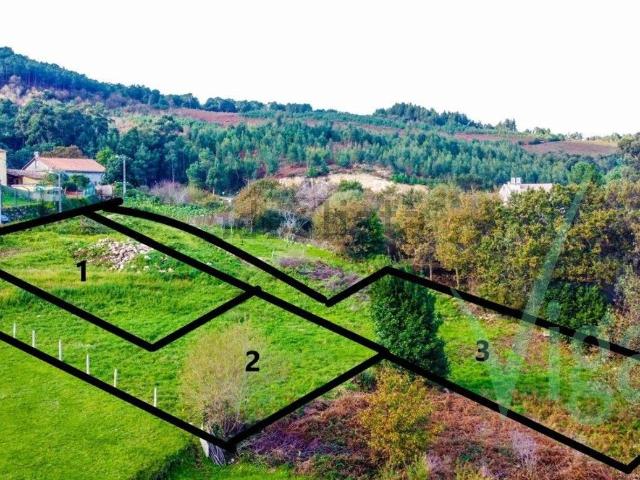 Terreno, Baiona