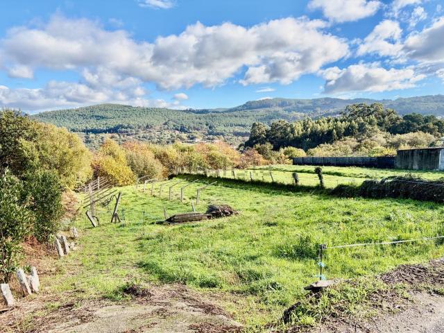 Terreno, Baiona