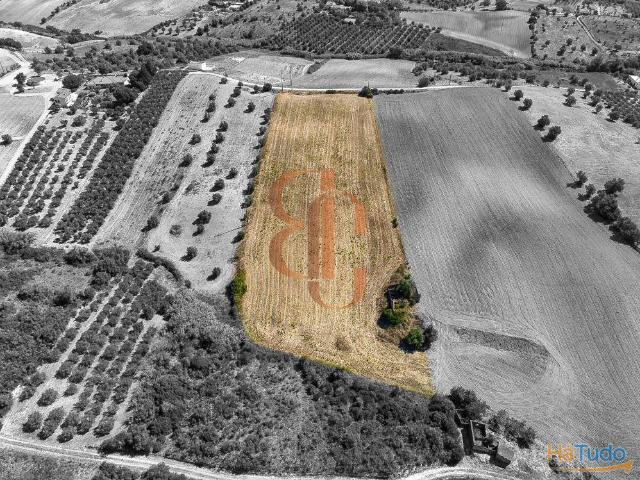 Terreno Baixinho/ Moçarria | 26073901560