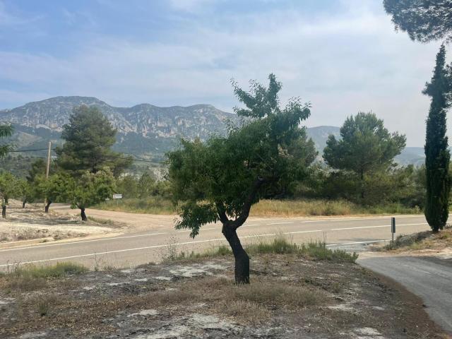 Terreno, Balones