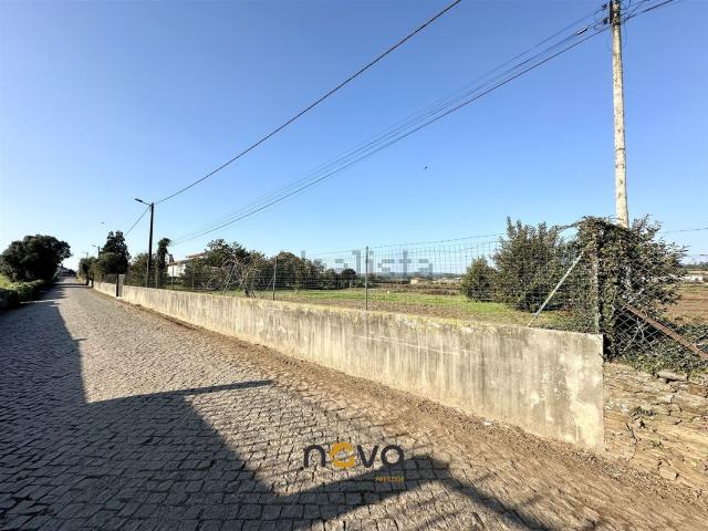 Terreno, Balazar