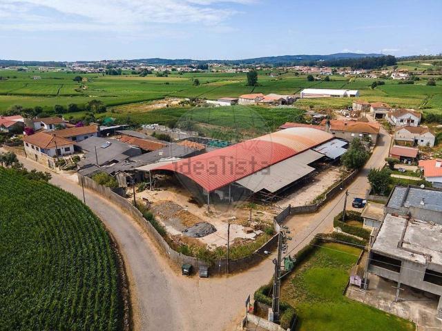 Terreno, Balazar