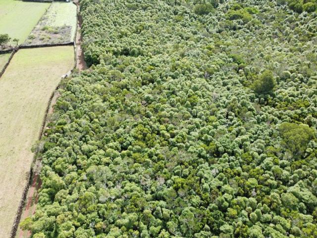 Terreno, Bandeiras, Madalena | BPI Expresso Imobiliário