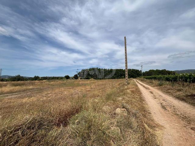 Terreno, Banyeres del Penedès