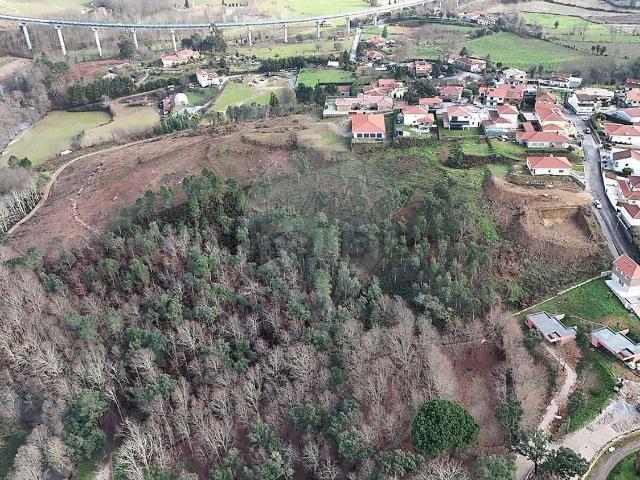 Terreno, Basto