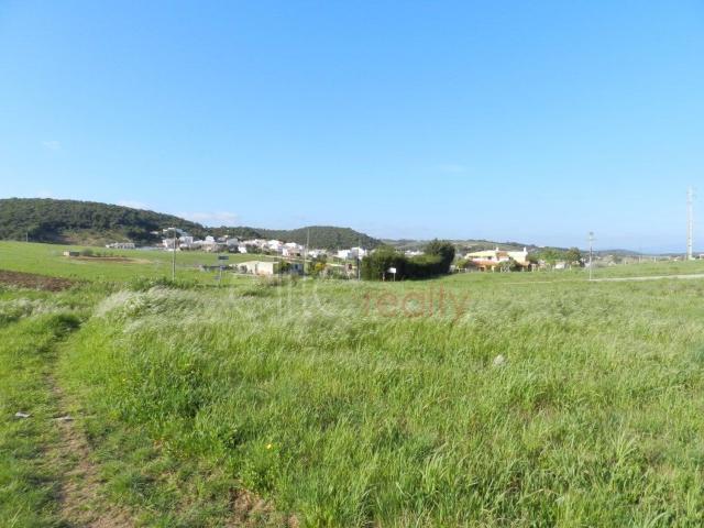 Terreno, Barão de São João