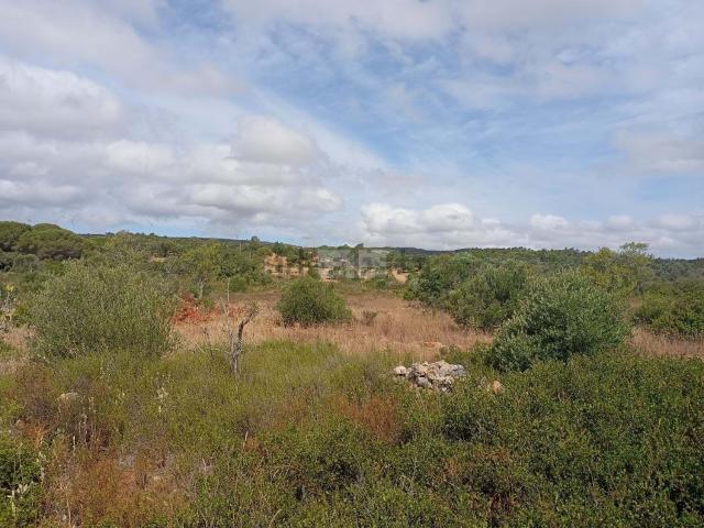 Terreno, Barão de São João
