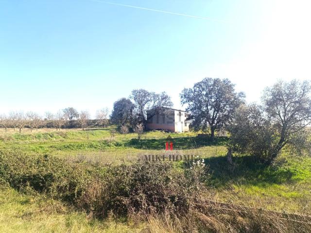 Terreno, Barbastro