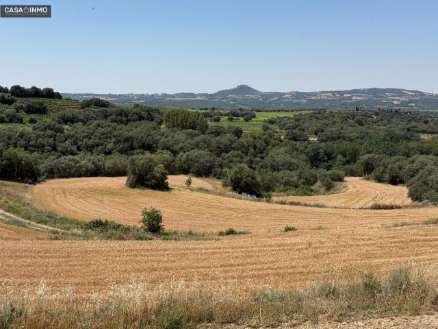 Terreno, Barbastro