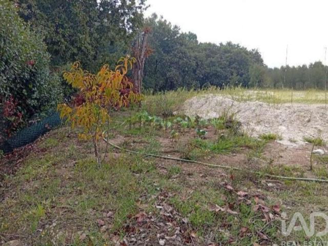 Terreno, Vila Frescainha São Pedro