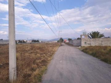 TERRENO, BARDA PERIMETRAL, PLANO, IDEAL PARA BODEGAS