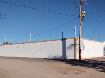 Terreno bardeado en renta por la salida a Aldama Chihuahua
