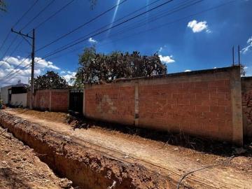 Terreno bardeado en VENTA Nuevo San Isidro