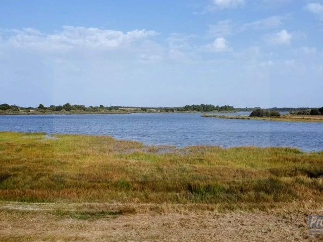 Terreno Barragem Marateca – Louriçal do Campo