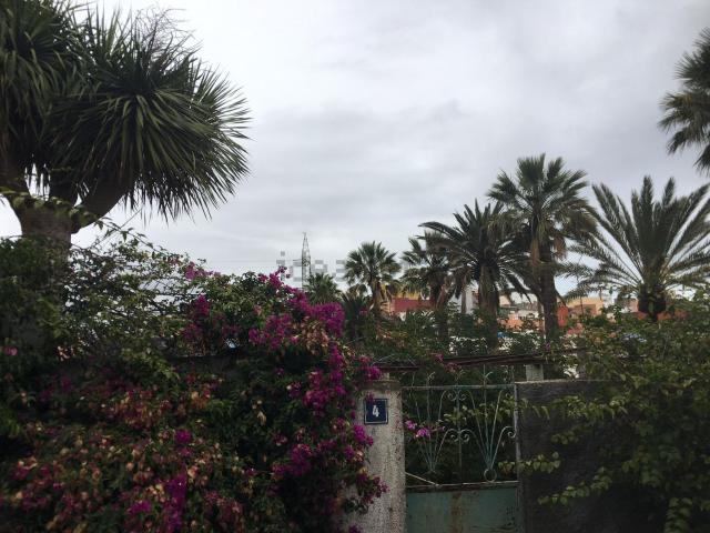 Terreno, Barranco Grande, Santa Cruz de Tenerife