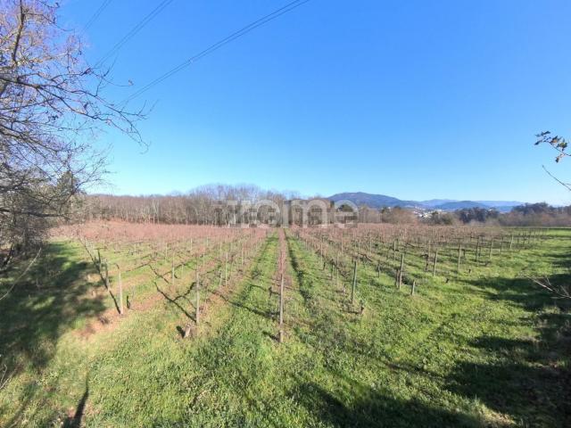 Terreno, Barreiros