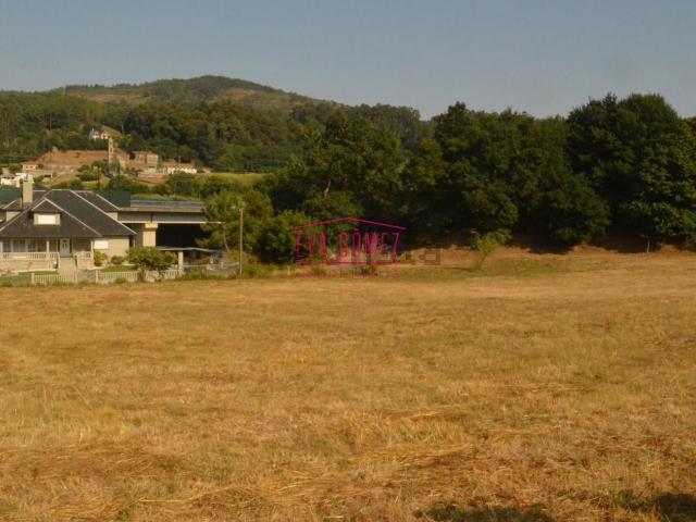 Terreno, Barro
