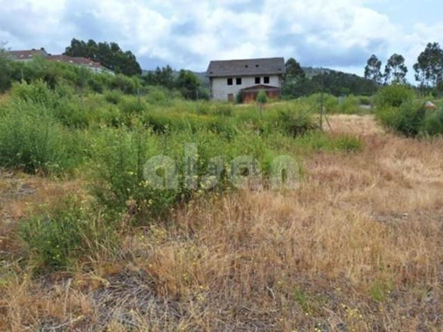 Terreno, Barro