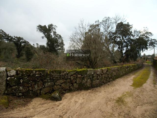 Terreno Barroselas Viana do Castelo