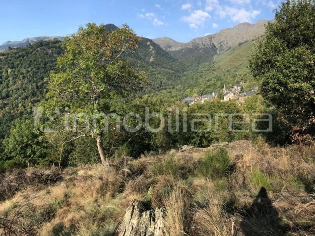 Terreno, Bausen