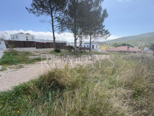 Terreno, Begues