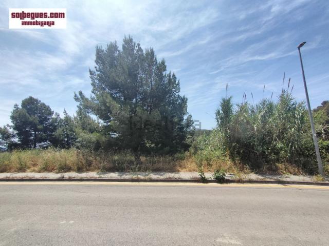 Terreno, Begues