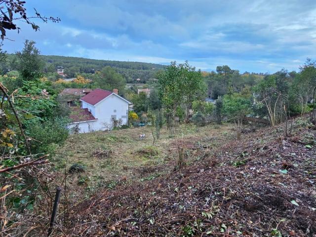 Terreno, Begues