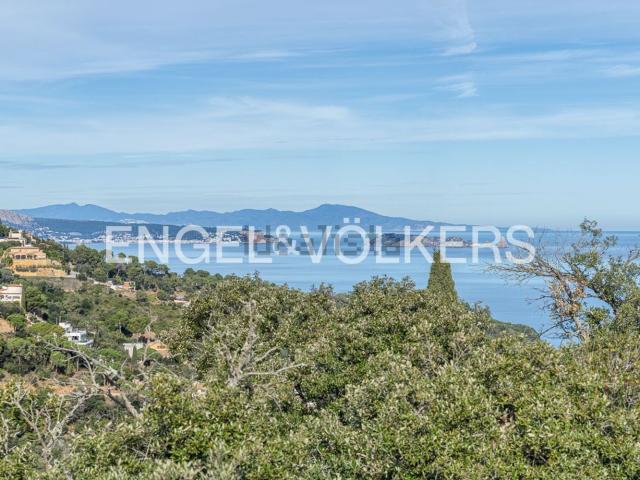 Terreno, Begur