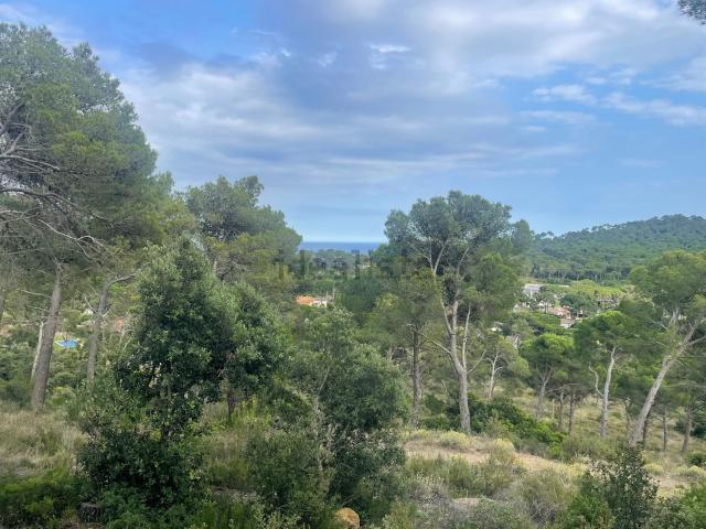 Terreno, Begur