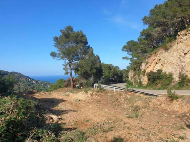 Terreno, Begur