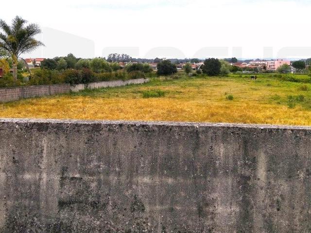 Terreno, Beduído